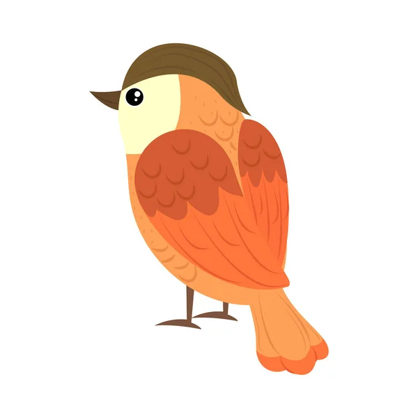 Bird Vector Icon Flat Isolated — Stock Vector