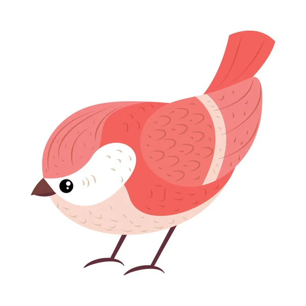 Animal Pájaro Icono Dibujos Animados Aislado — Vector de stock