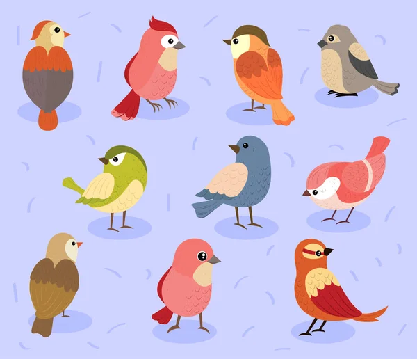 Icone Collezione Uccelli Progettazione Vettoriale — Vettoriale Stock