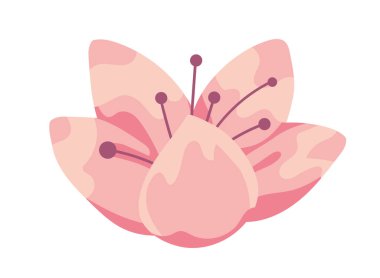 Sakura çiçeği doğa ikonu izole