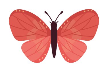 Şirin kelebek simgesi