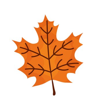 Doğal akçaağaç yaprağı simgesi izole edildi