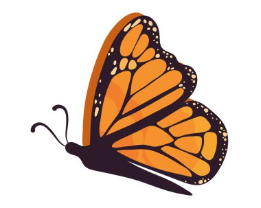 Uçan kral kelebeği simgesi izole edildi