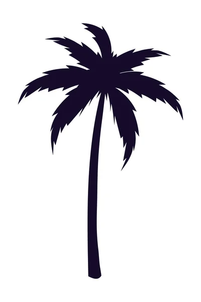 Tropische Palmenpflanze Ikone Isoliert — Stockvektor