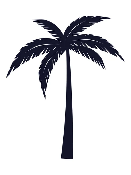 Tropische Palme Ikone Isoliert — Stockvektor