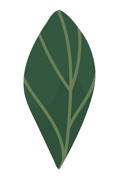 葉の自然アイコンフラット隔離 — ストックベクタ