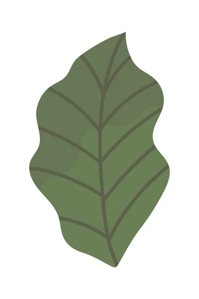 Hoja Botancial Icono Plano Aislado — Archivo Imágenes Vectoriales