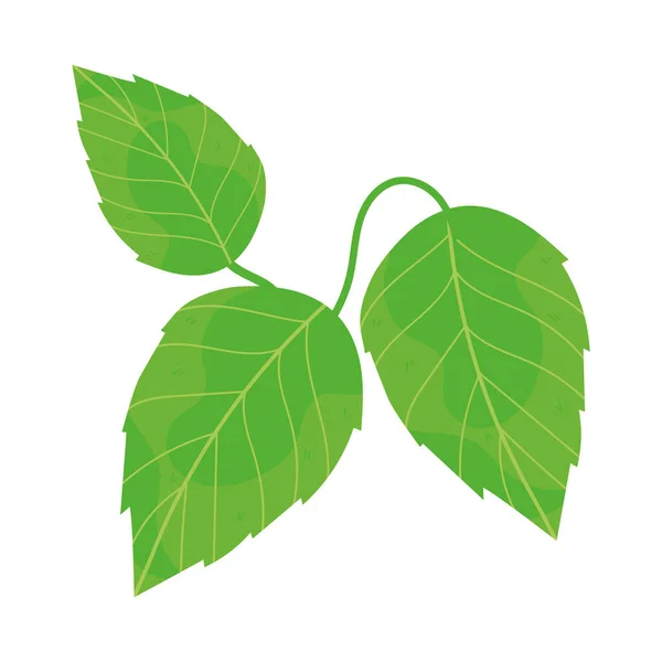 Leaves Branch Icon Flat Isolated — Stock Vector
