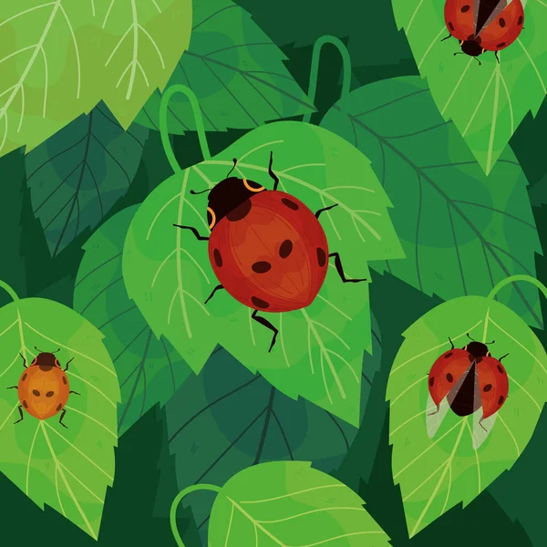 Ladybirds Leaves Small Bugs — Stock vektor
