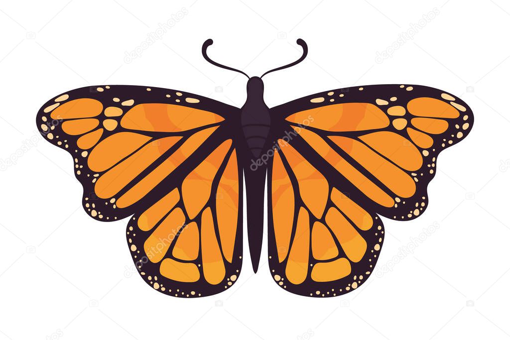 monarch butterfly bug icon flat isolated
