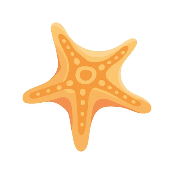Starfish Sea Life Icon Isolated — Stock Vector