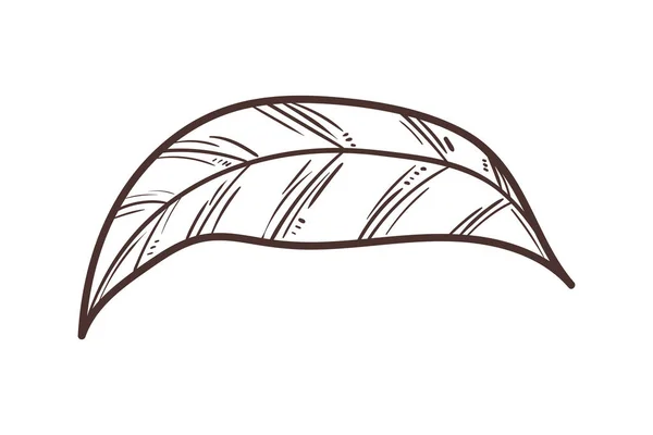 Leaf Sketch Icon Flat Isolated — Image vectorielle