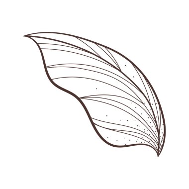 Yaprak doğası taslak simgesi izole edildi