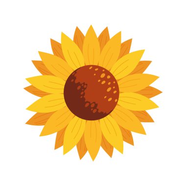 ayçiçeği simgesi izole edilmiş düz tasarım