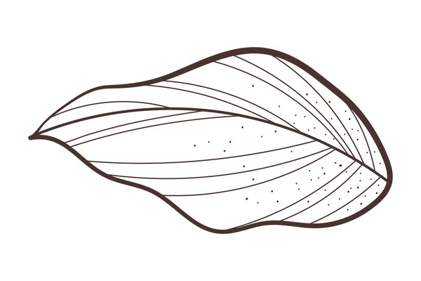 Feuille Vectoriel Croquis Icône Isolé — Image vectorielle