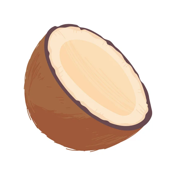 Half Coconut Superfood Icon — Vettoriale Stock