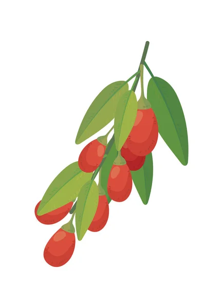 Goji Szuperélelmiszer Ikon Ága — Stock Vector