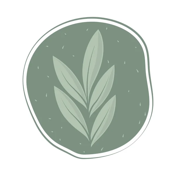 Green Natural Leaf Isolated Icon — Stockvektor