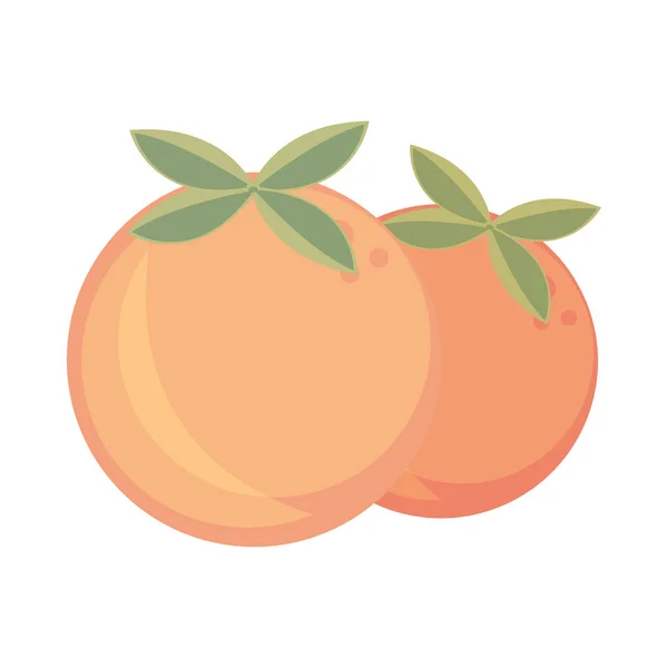 Oranges Fruit Flat Icon Isolated — Stock vektor