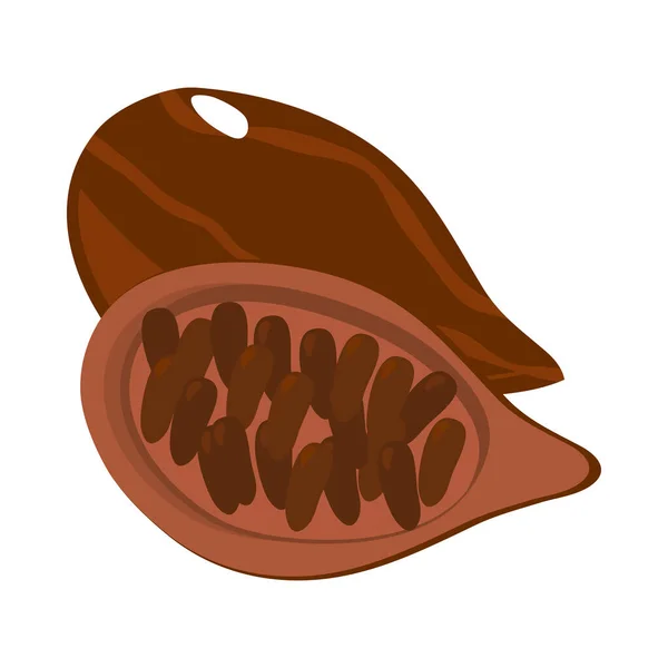Cacao Superfood Icon Isolated Vector — Vettoriale Stock