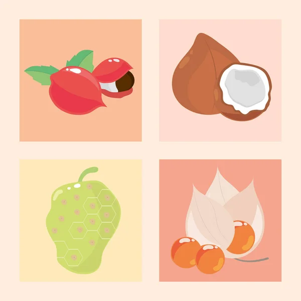 Superfoods Fruits Icons Vector Design — стоковый вектор