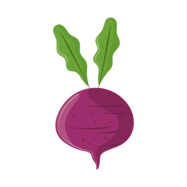 radish vegetable healthy food icon isolated