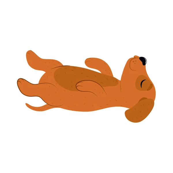 Cute Dog Lying Floor Isolated Icon — Image vectorielle