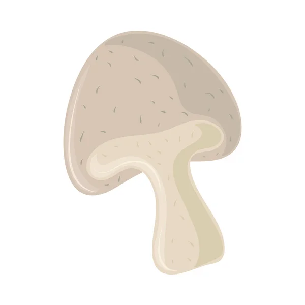 Mushroom Healthy Food Icon Isolated — Stok Vektör