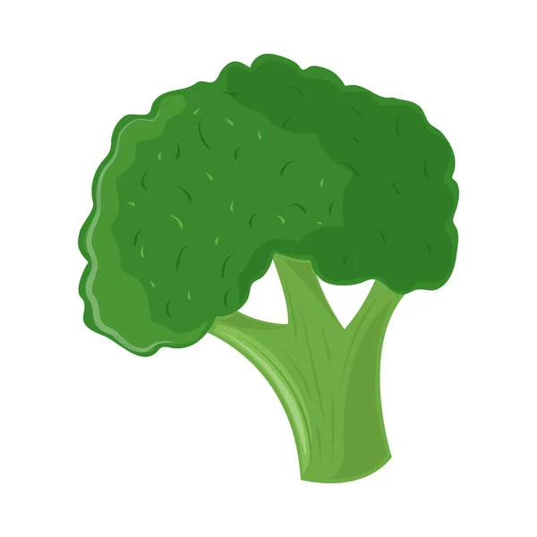 Broccoli Healthy Food Icon Isolated — ストックベクタ