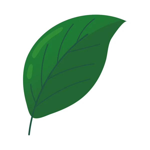 Leaf Plant Icon Flat Isolated — 스톡 벡터