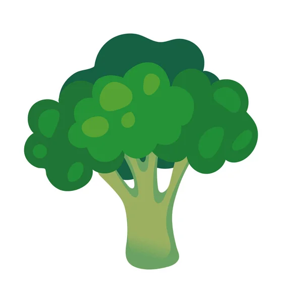 Fresh Broccoli Vegetable Icon Isolated - Stok Vektor