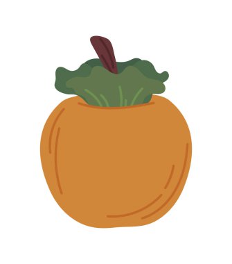 tropical apricot fruit isolated icon