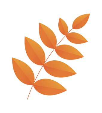 leaves nature isolated icon flat
