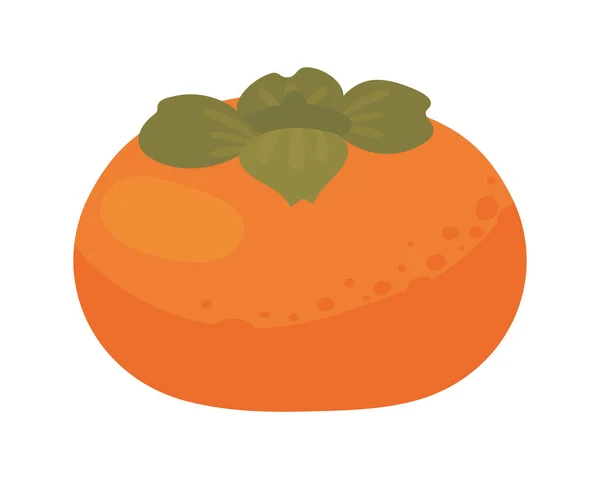 Persimmon Fruit Isolated Icon Flat — Stockvektor