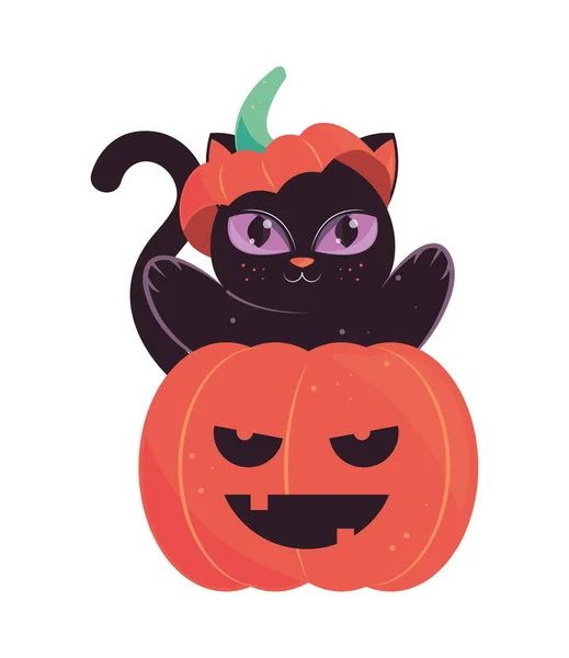 Cat Pumpkin Halloween Isolated Icon — Διανυσματικό Αρχείο