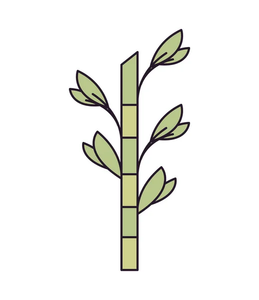 Bamboo Plant Icon Flat Isolated — Vetor de Stock