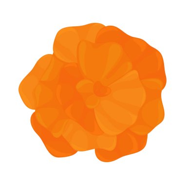 marigold flower isolated icon design