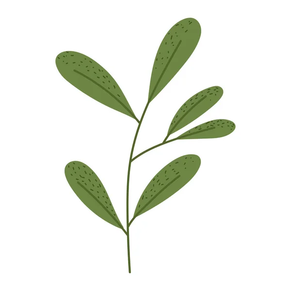 Πράσινο Φύλλωμα Φύλλα Εικονίδιο Απομονωμένο — Διανυσματικό Αρχείο