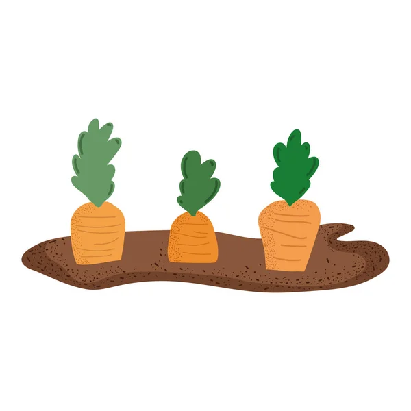 Gardening Planting Carrots Icon — Stock Vector