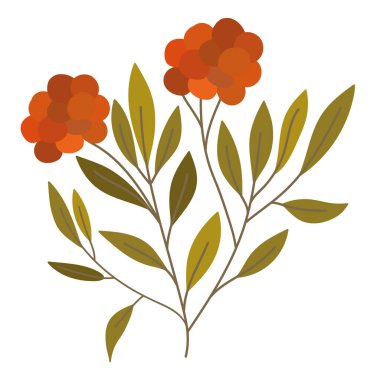 çiçek gövdesi simgesi izole