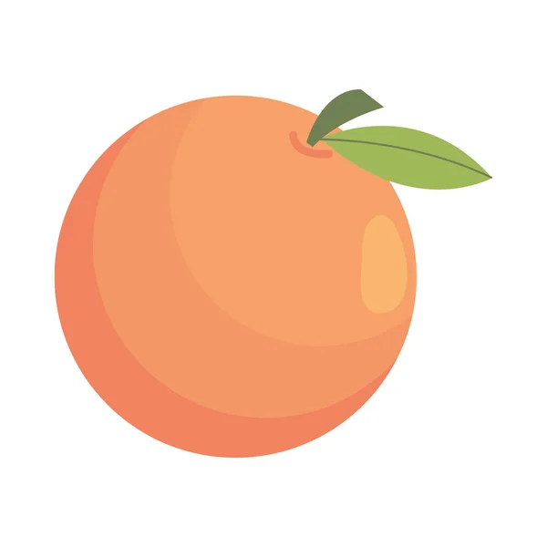 Apelsinfrukt Färsk Isolerad Ikon — Stock vektor