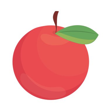 elma meyvesi taze izole edilmiş simge