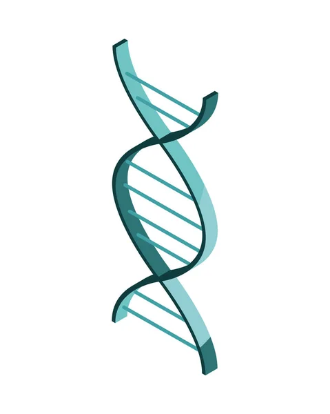 Izometrické Genetické Dna Technologie Lékařské Izolované Ikony — Stockový vektor