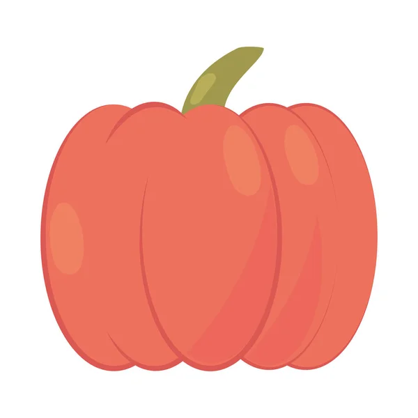 Icono Comida Calabaza Plana Aislado — Vector de stock