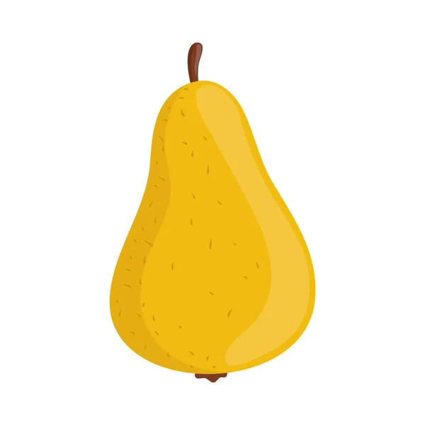 Pear Fruta Cosecha Icono Aislado — Vector de stock