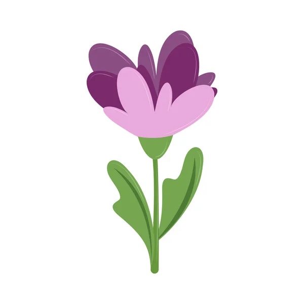 Фиолетовый Цветок — стоковый вектор