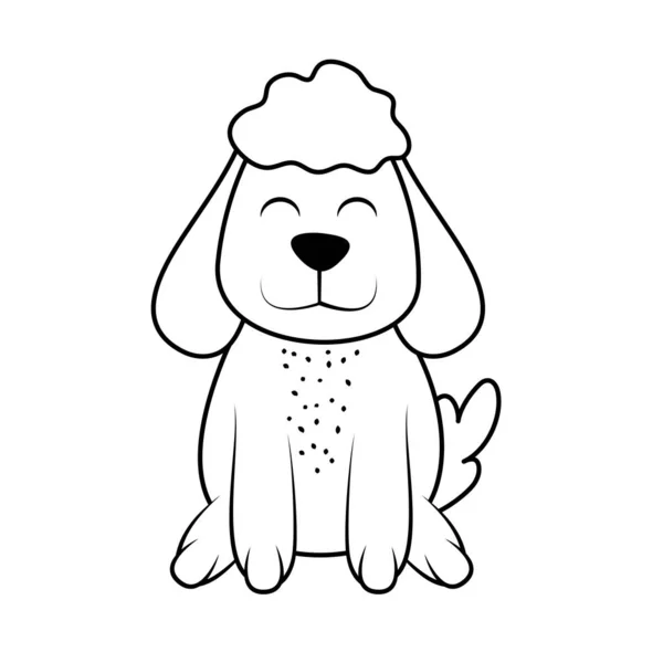 Bonito Cão Pet Doodle Ícone Isolado — Vetor de Stock