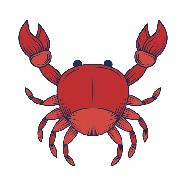 Krabbe Meer Tier Symbol Isoliert — Stockvektor