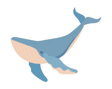 Kambur balina izole edilmiş simge