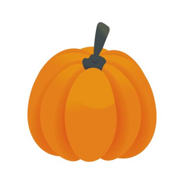 Taze sebze kabağı ikonu izole edildi